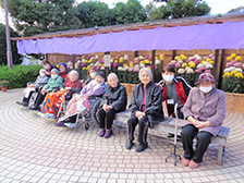 菊人形鑑賞