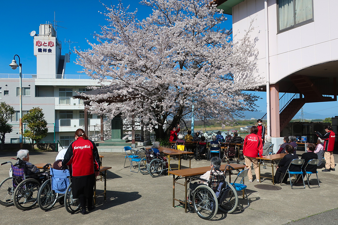 お花見